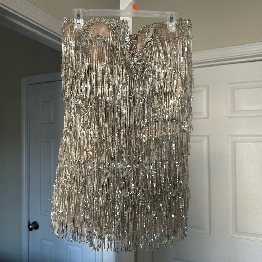 Silver Fringe Dress